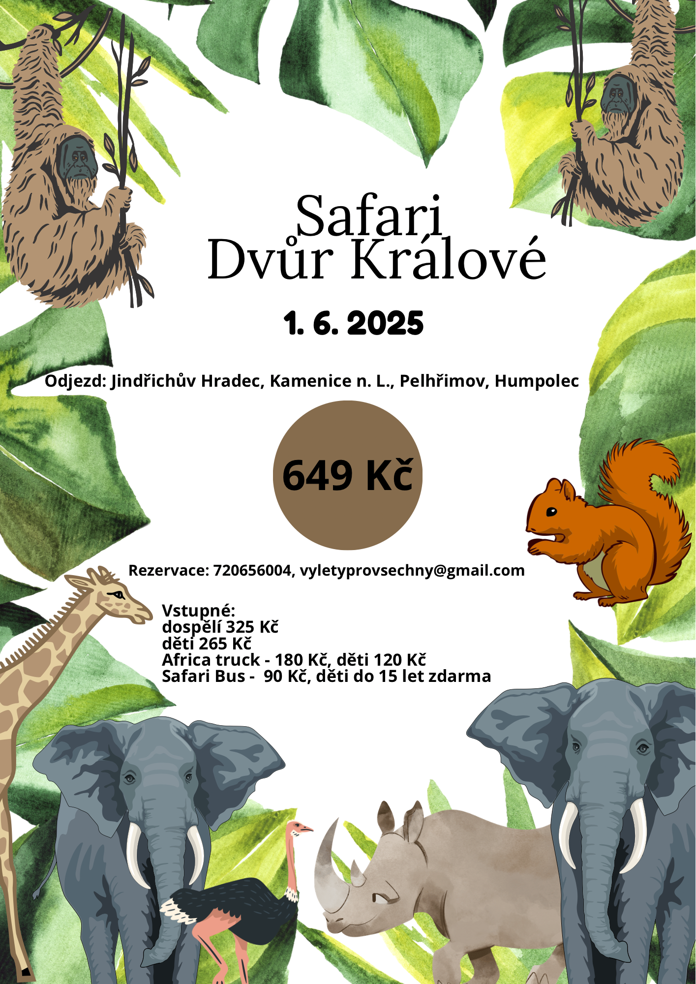 Safari – Dvůr Králové