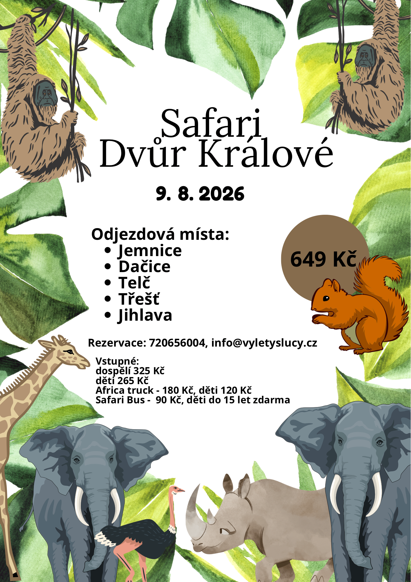 Safari – Dvůr Králové